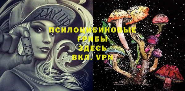 mdpv Володарск