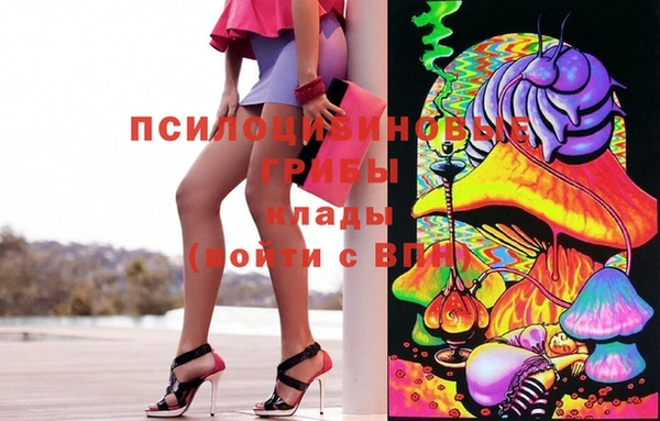 ПСИЛОЦИБИНОВЫЕ ГРИБЫ Волосово