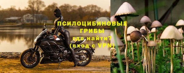 mdpv Володарск