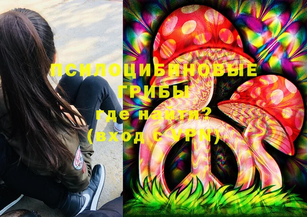 ПСИЛОЦИБИНОВЫЕ ГРИБЫ Волосово